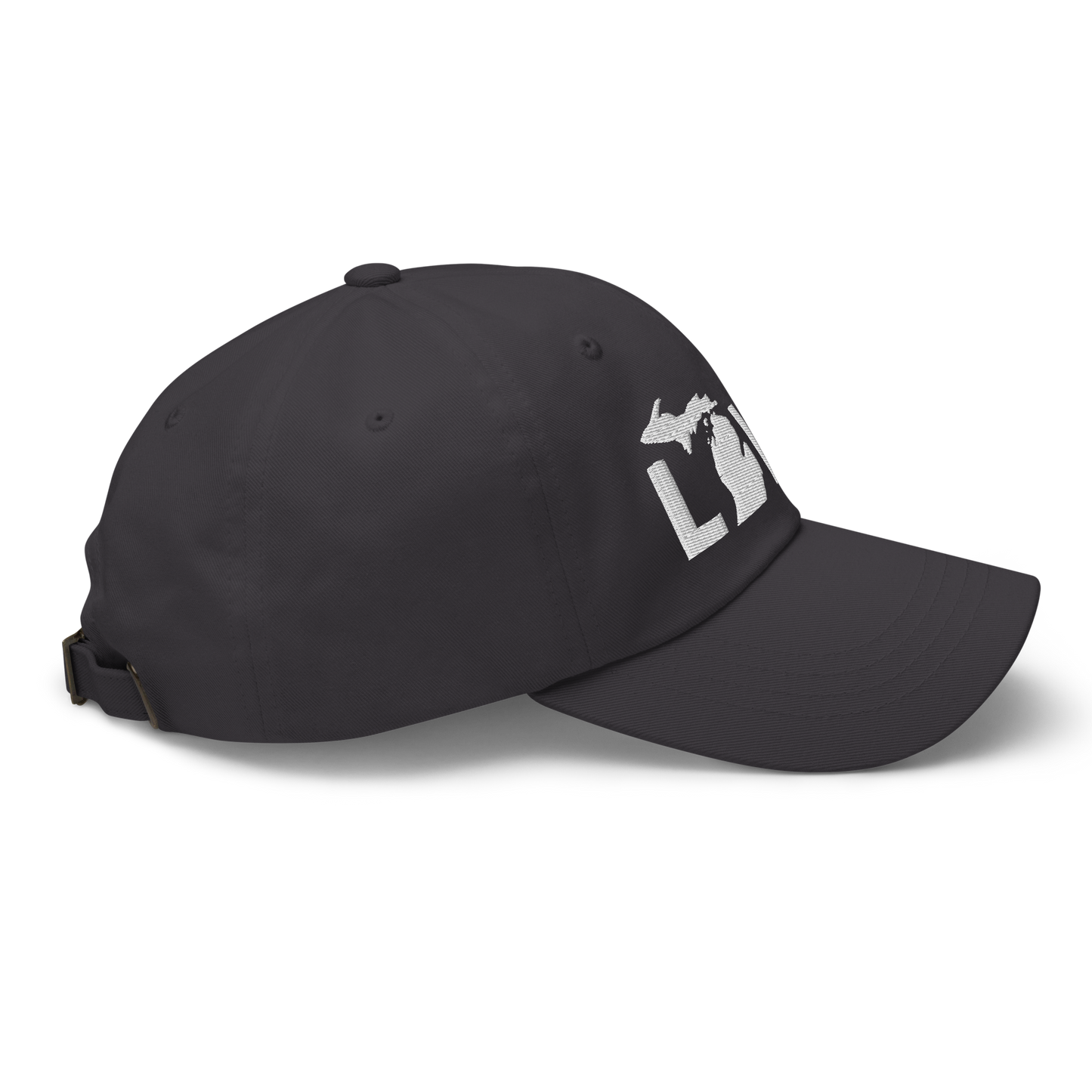 Michigan 'Love' Dad Hat (Geometric Sans Font)