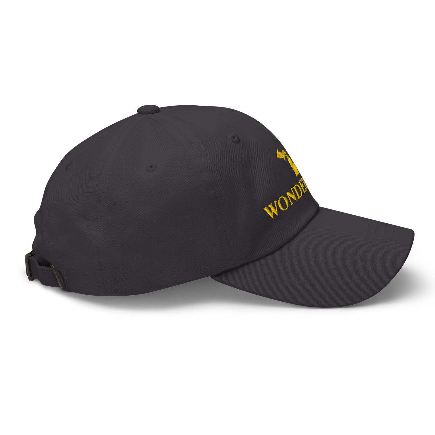 Michigan 'Wonderland' Dad Hat (Didone Font) | Gold Embroidery