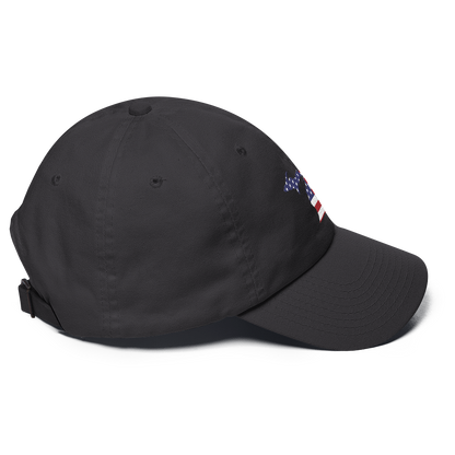 State of Michigan Dad Hat (w/ USA Flag Outline)