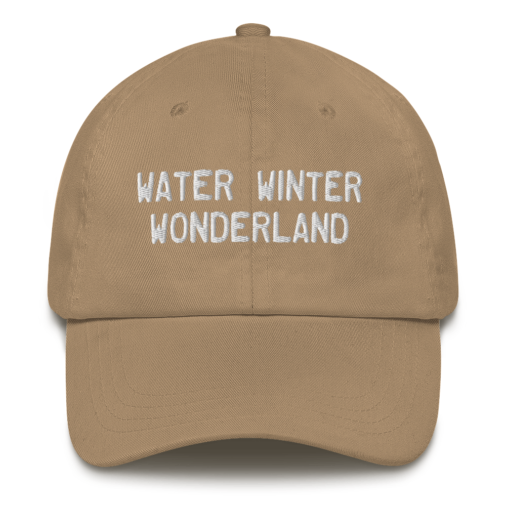 Michigan 'Water Winter Wonderland' Dad Hat (Licence Plate Font)