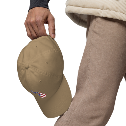 State of Michigan Dad Hat (w/ USA Flag Outline)