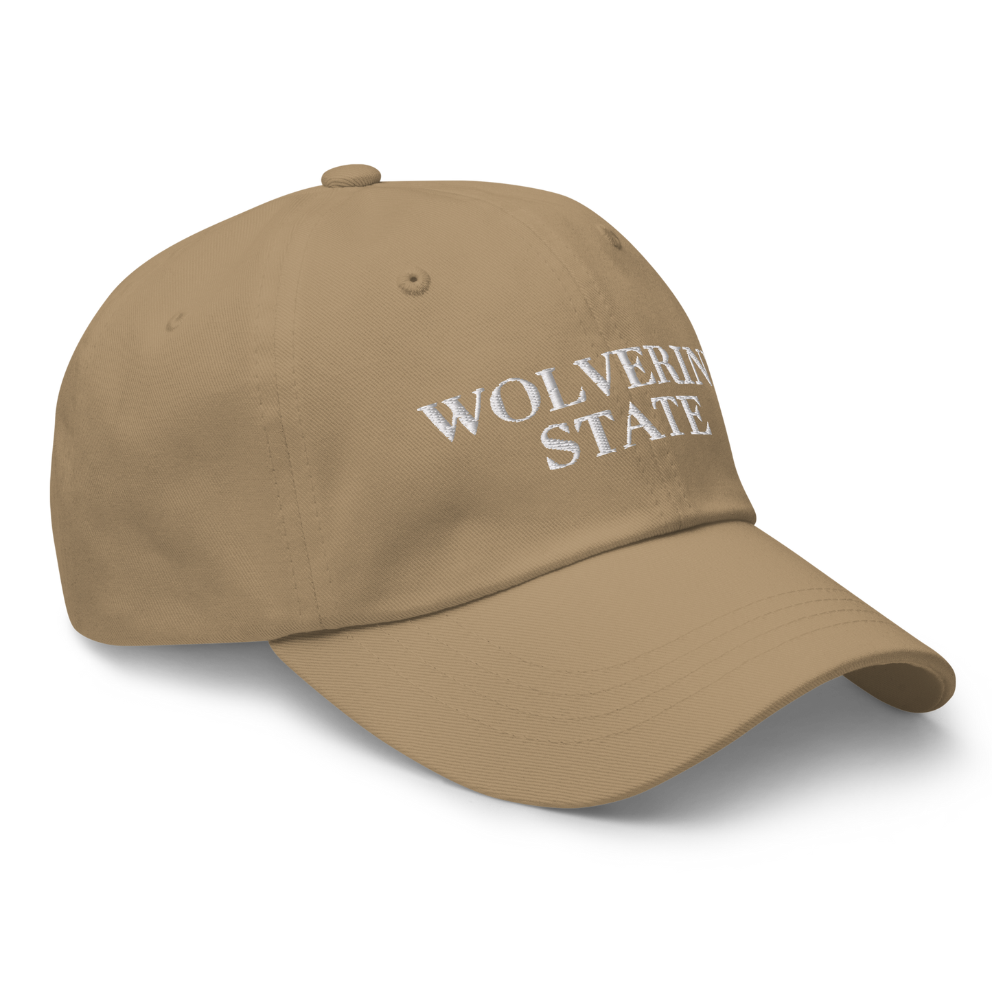 Michigan 'Wolverine State' Dad Hat (Didone Font)