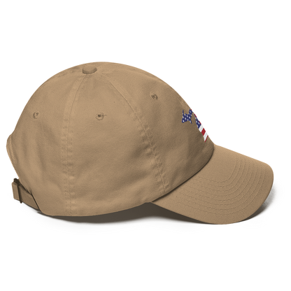 State of Michigan Dad Hat (w/ USA Flag Outline)