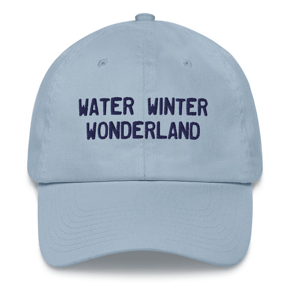 Michigan 'Water Winter Wonderland' Dad Hat (Licence Plate Font)