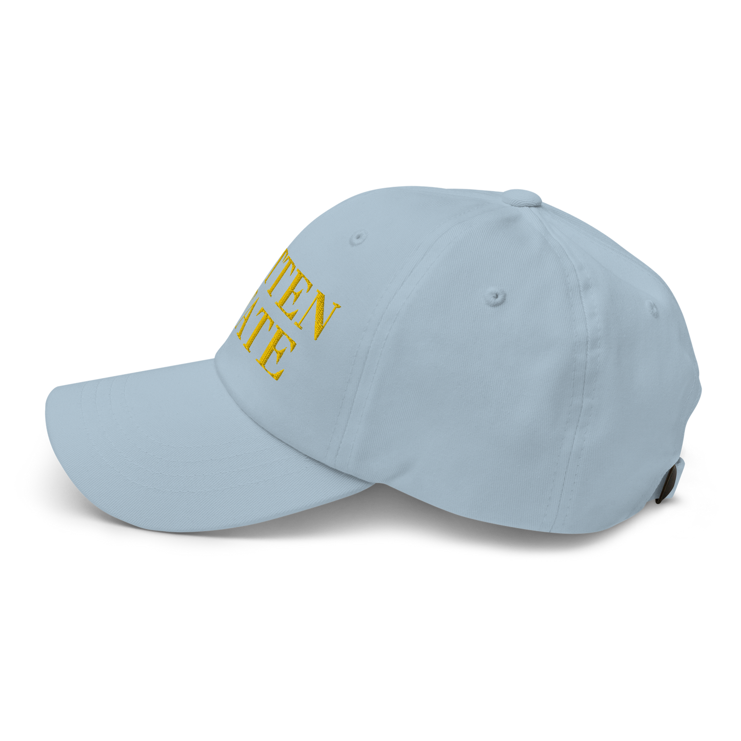 Michigan 'Mitten State' Dad Hat (Didone Font) | Gold Embroidery