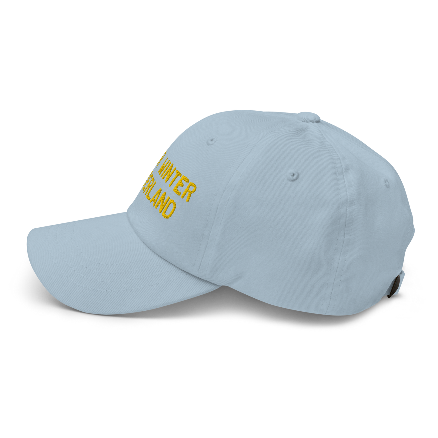 Michigan 'Water Winter Wonderland' Dad Hat (Licence Plate Font) | Gold Embroidery