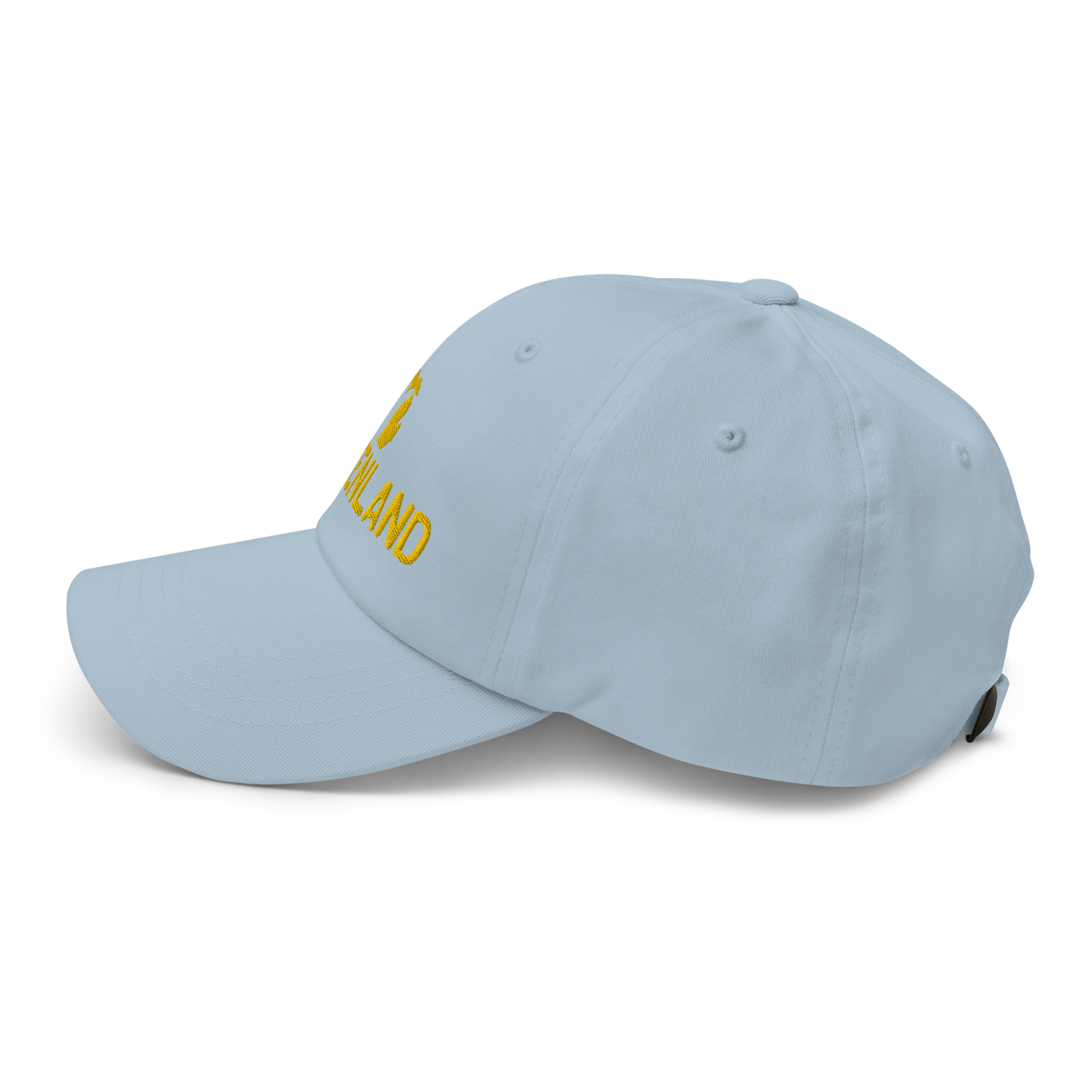 Michigan 'Mittenland' Dad Hat | Gold Embroidery