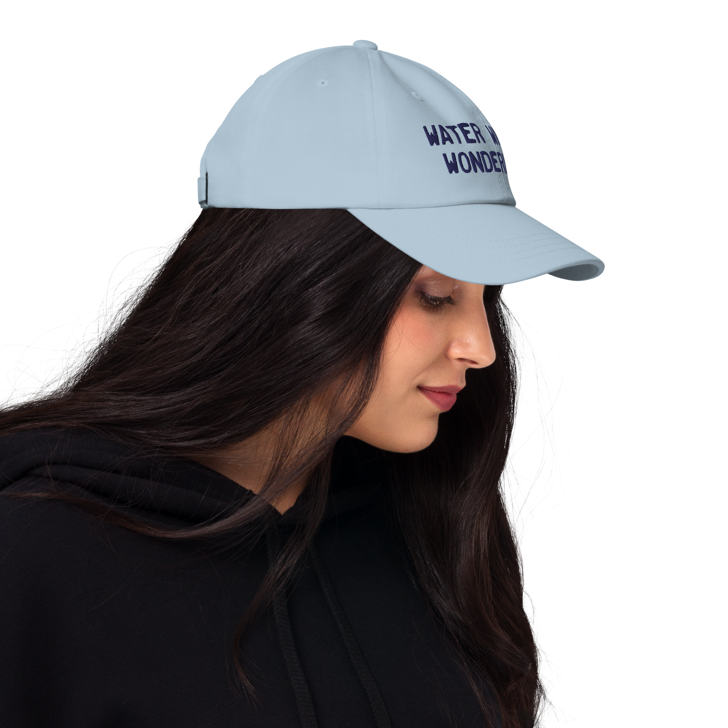 Michigan 'Water Winter Wonderland' Dad Hat (Licence Plate Font)