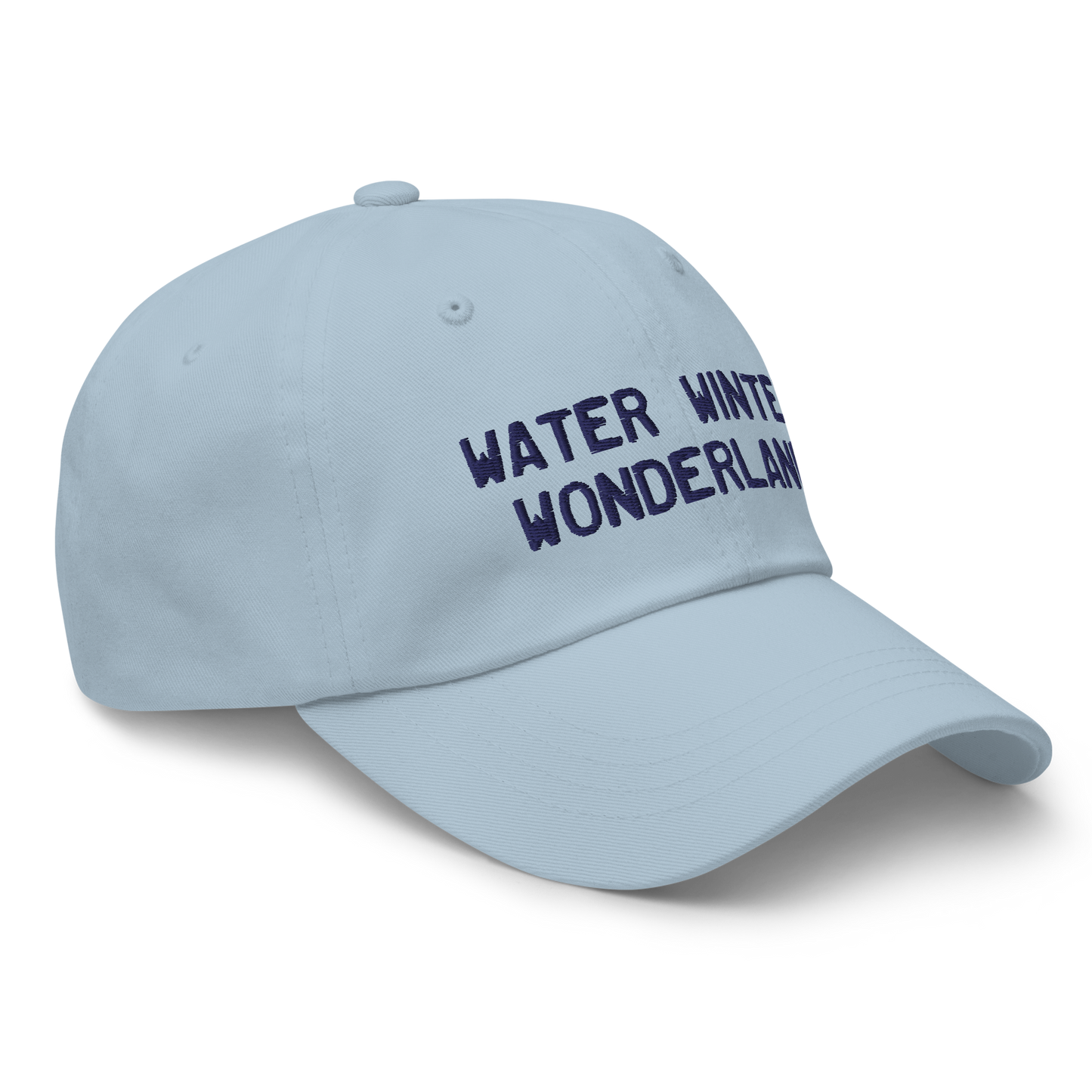 Michigan 'Water Winter Wonderland' Dad Hat (Licence Plate Font)