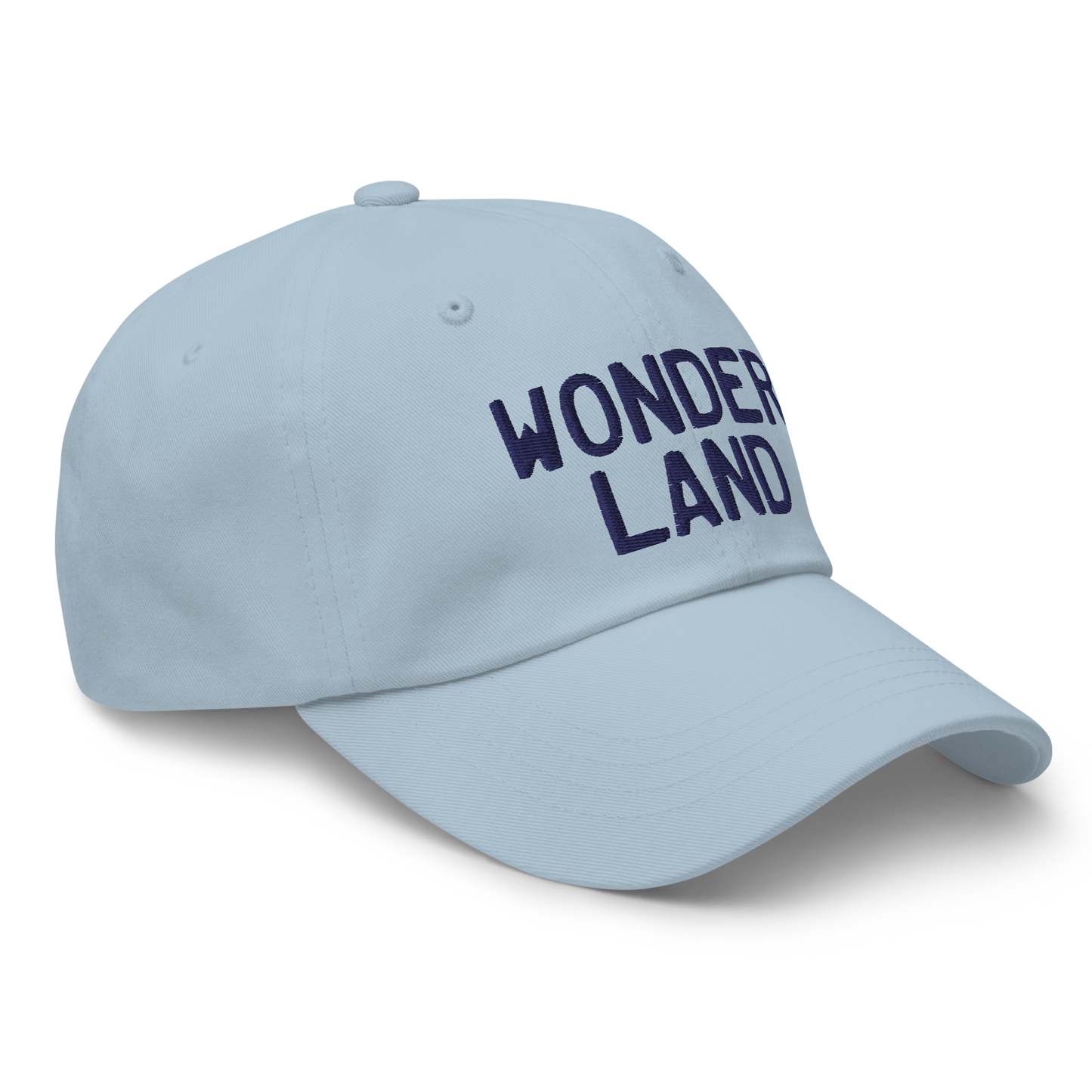 Michigan 'Wonderland' Dad Hat (Licence Plate Font)