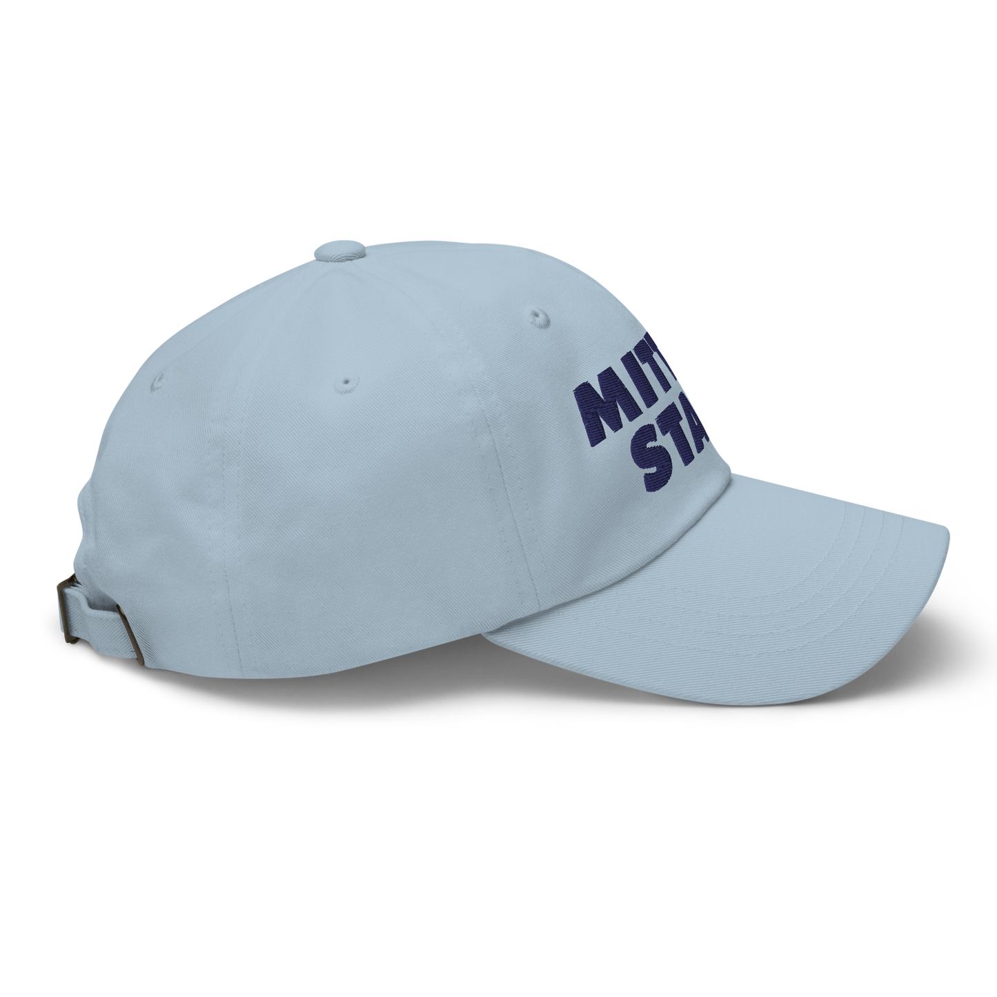 Michigan 'Mitten State' Dad Hat (Geometric Sans Font)