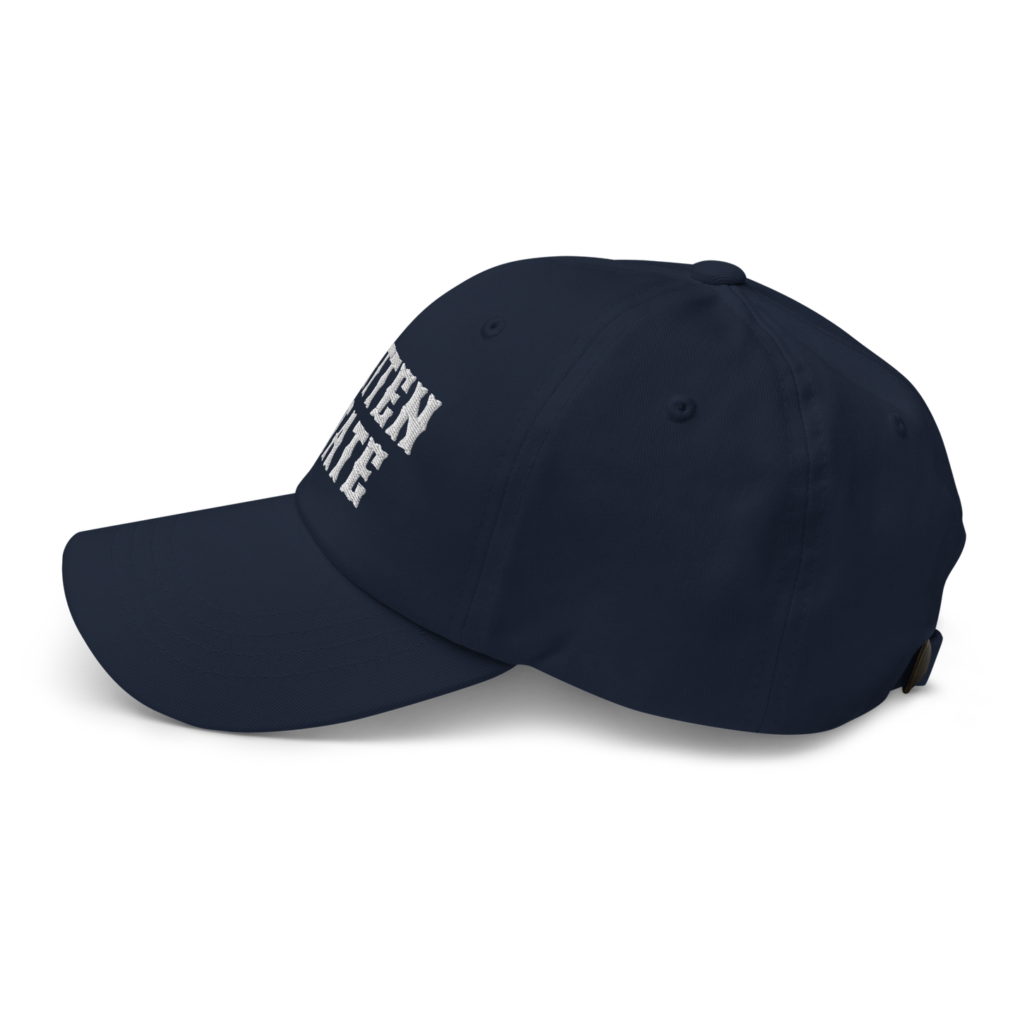 Michigan 'Mitten State' Dad Hat (Western Font)