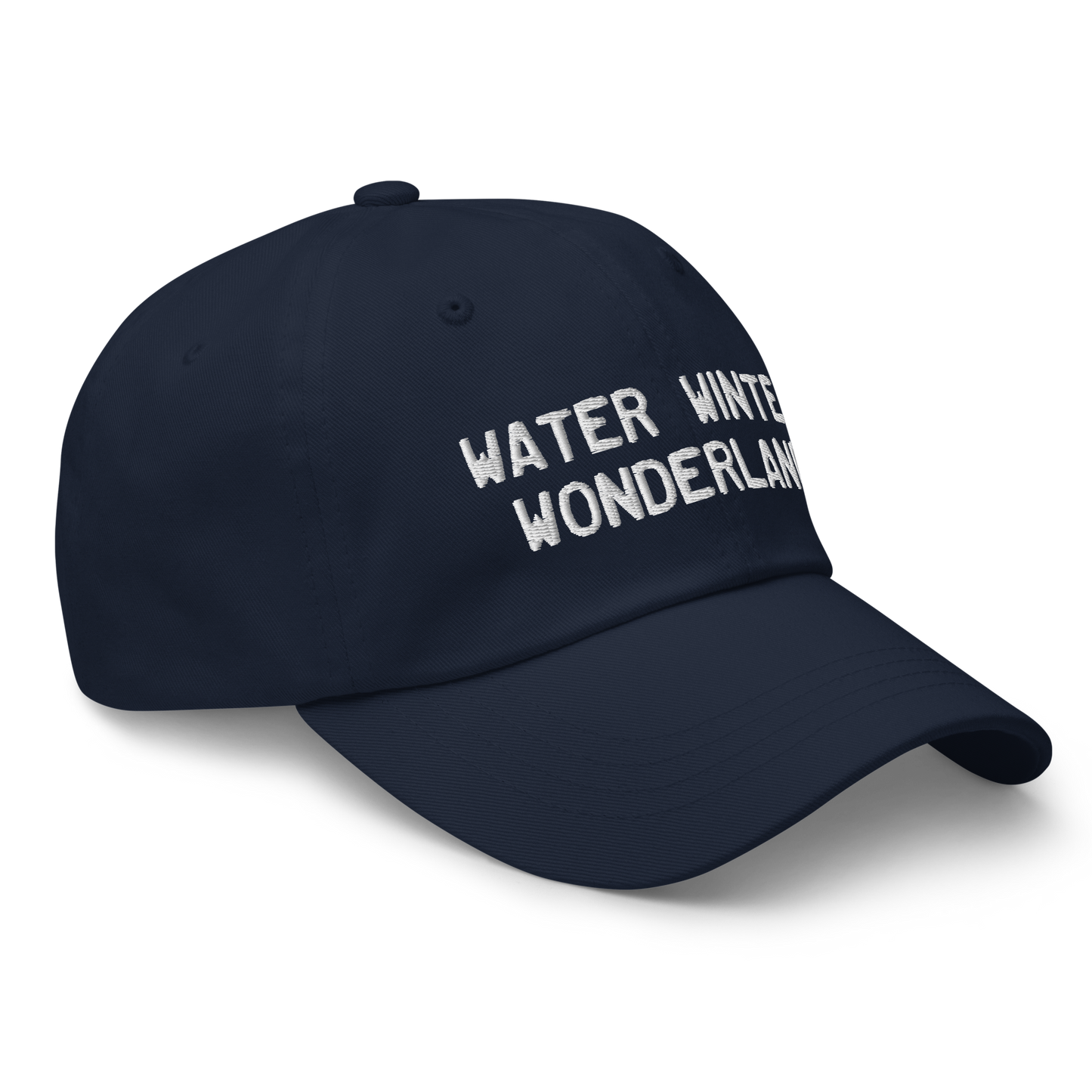 Michigan 'Water Winter Wonderland' Dad Hat (Licence Plate Font)