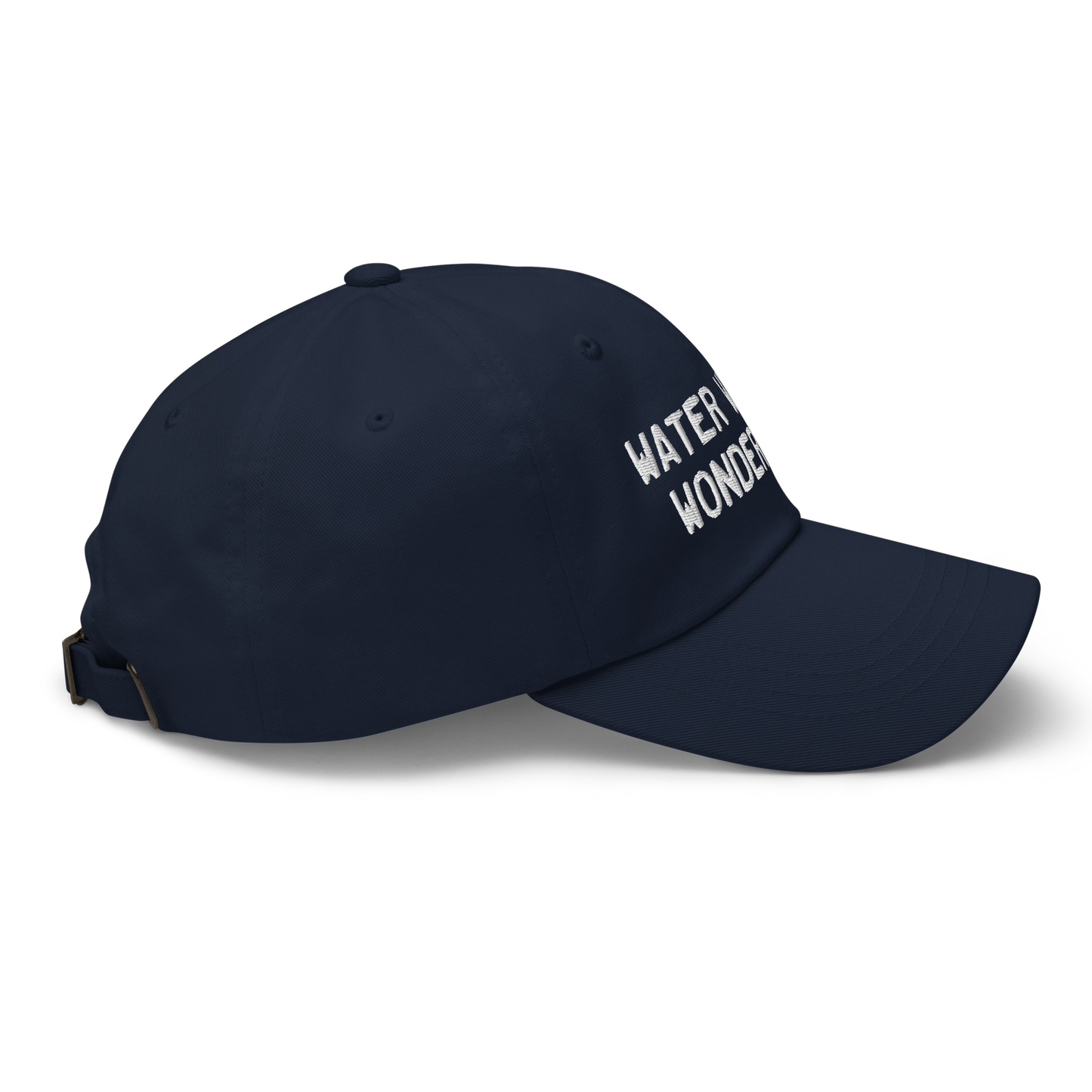 Michigan 'Water Winter Wonderland' Dad Hat (Licence Plate Font)