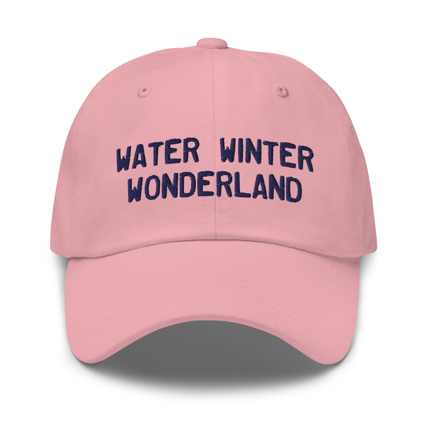 Michigan 'Water Winter Wonderland' Dad Hat (Licence Plate Font)