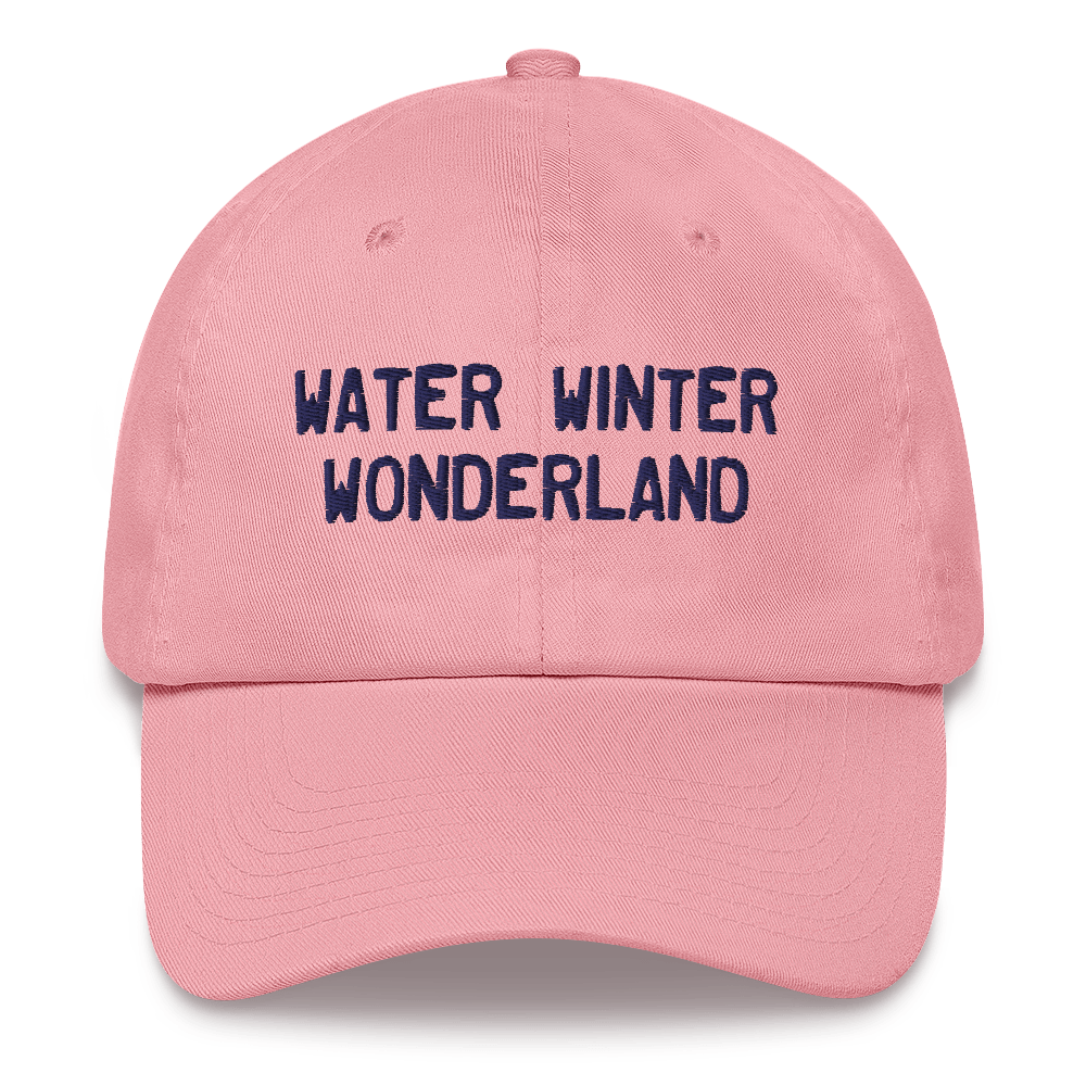 Michigan 'Water Winter Wonderland' Dad Hat (Licence Plate Font)