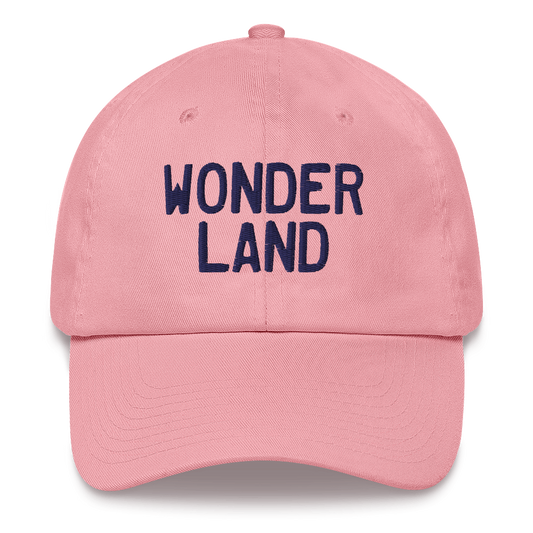 Michigan 'Wonderland' Dad Hat (Licence Plate Font)