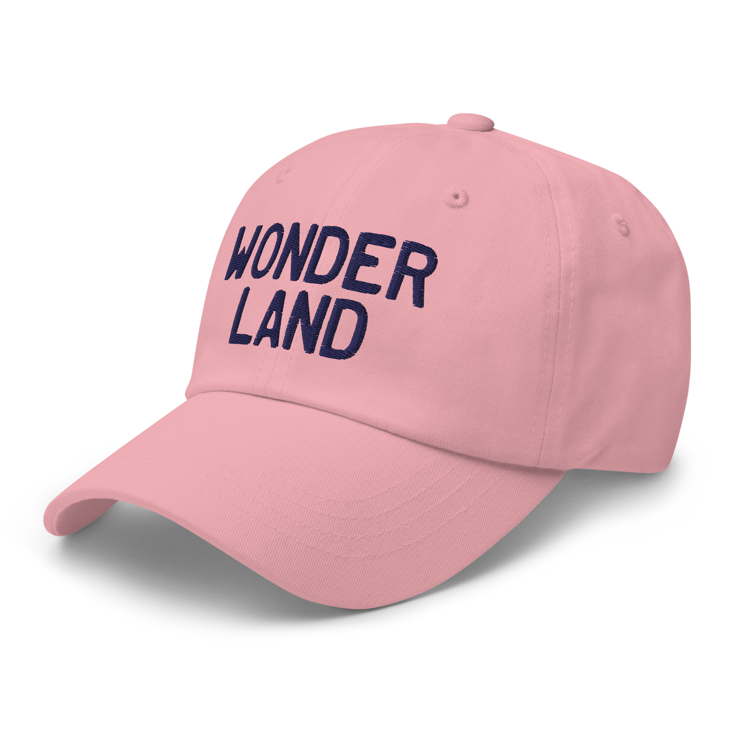 Michigan 'Wonderland' Dad Hat (Licence Plate Font)