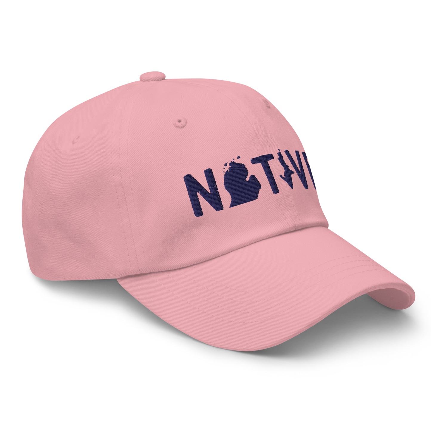 Michigan 'Native' Dad Hat (Licence Plate Font)