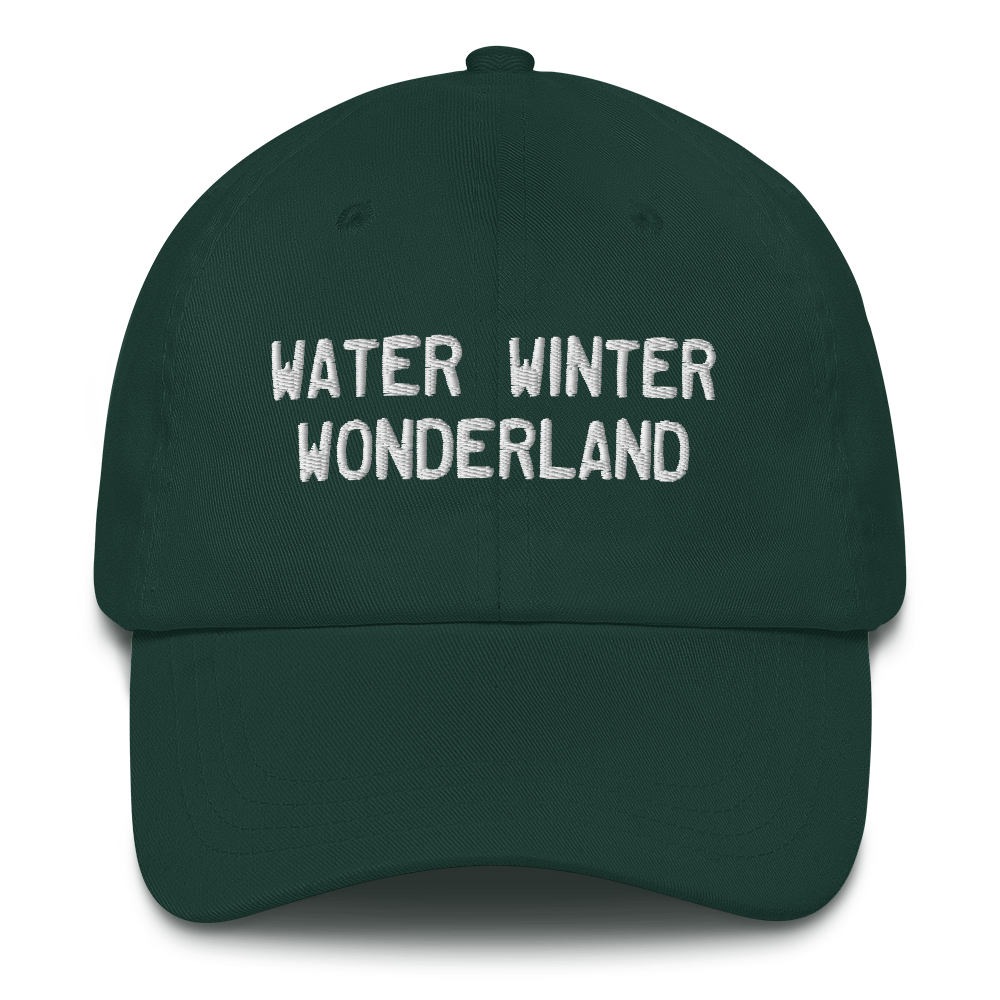 Michigan 'Water Winter Wonderland' Dad Hat (Licence Plate Font)