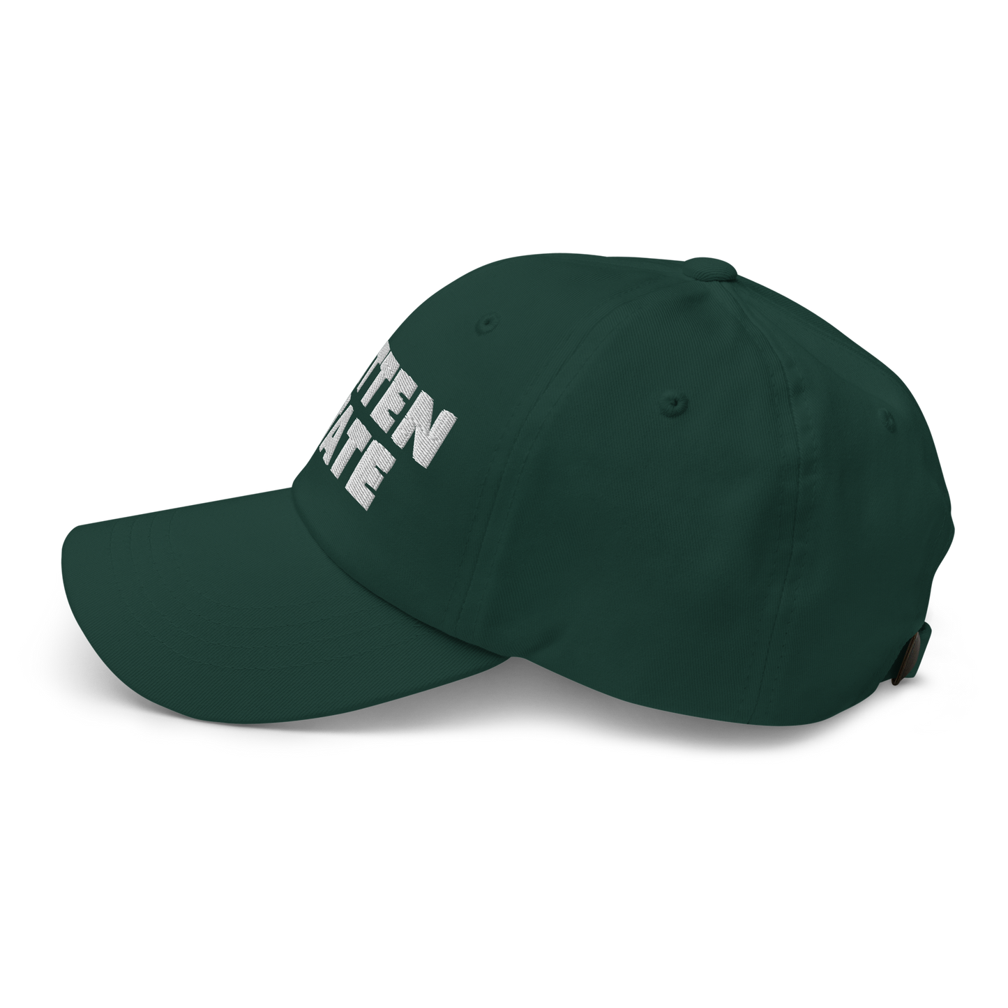 Michigan 'Mitten State' Dad Hat (Geometric Sans Font)