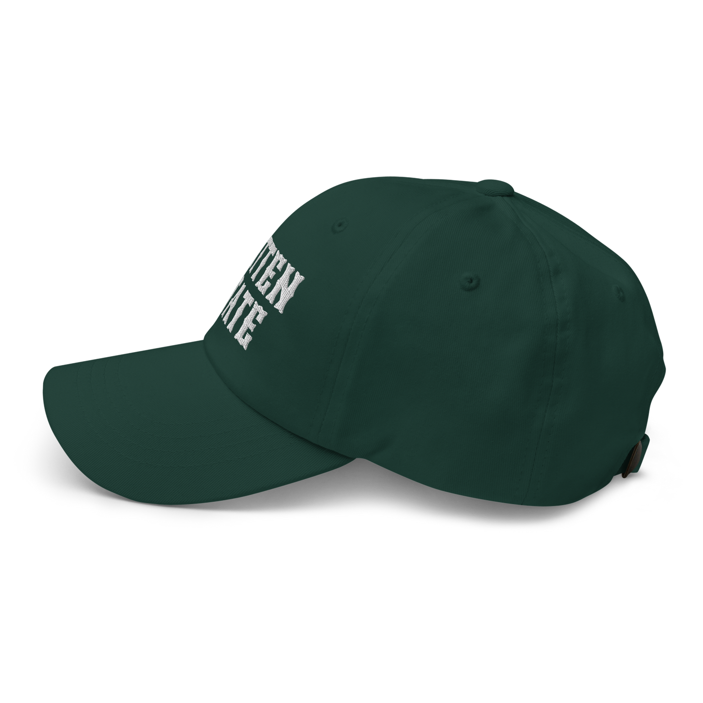 Michigan 'Mitten State' Dad Hat (Western Font)