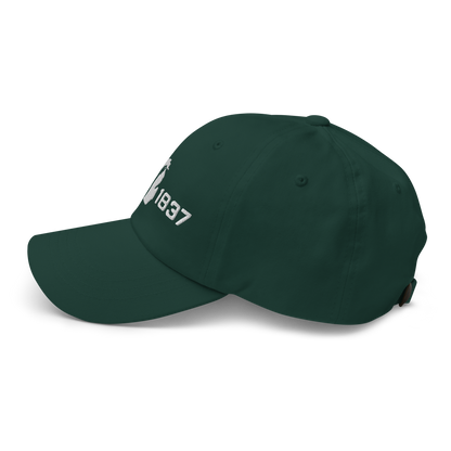 Michigan 'EST 1837' Dad Hat (Athletic Font)