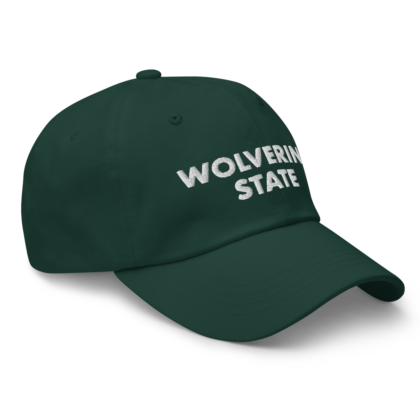 Michigan 'Wolverine State' Dad Hat (Geometric Sans Font)