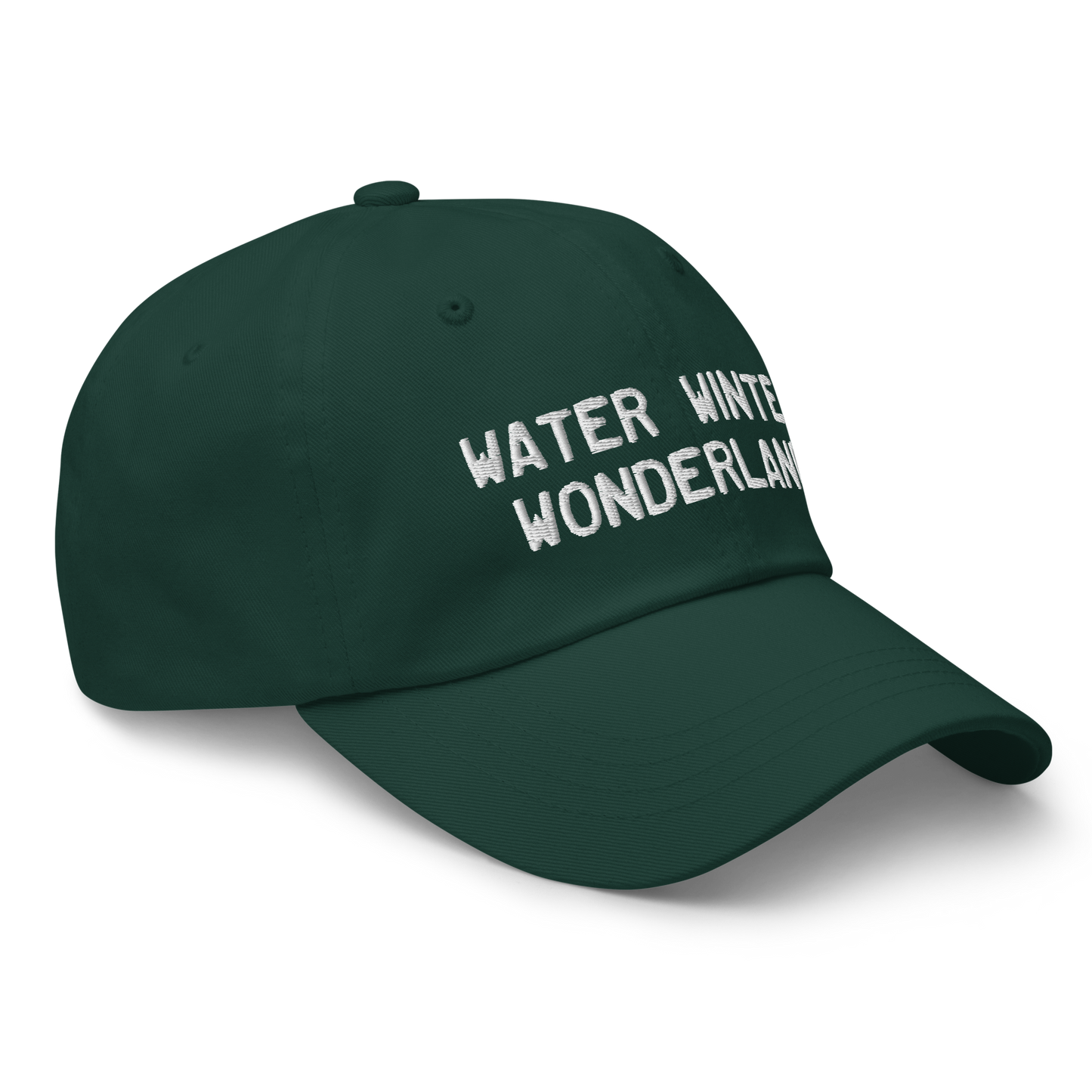 Michigan 'Water Winter Wonderland' Dad Hat (Licence Plate Font)