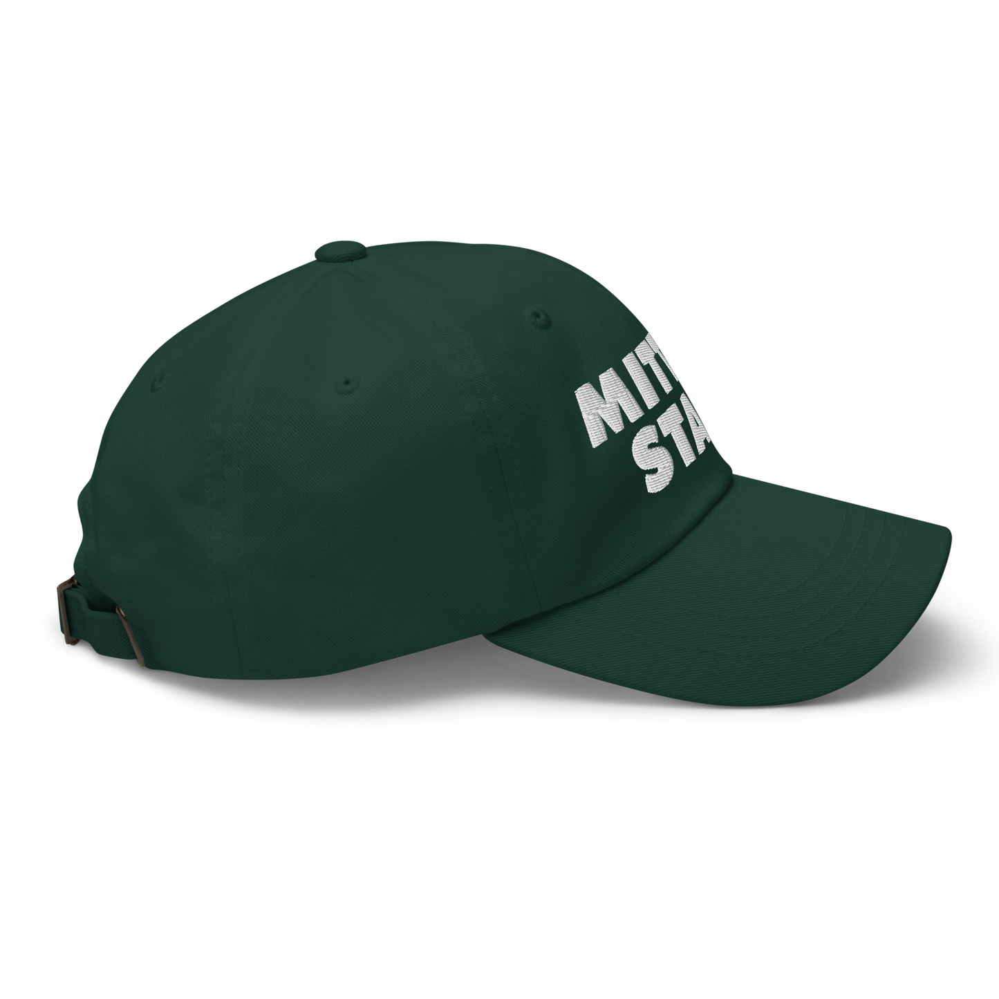 Michigan 'Mitten State' Dad Hat (Geometric Sans Font)