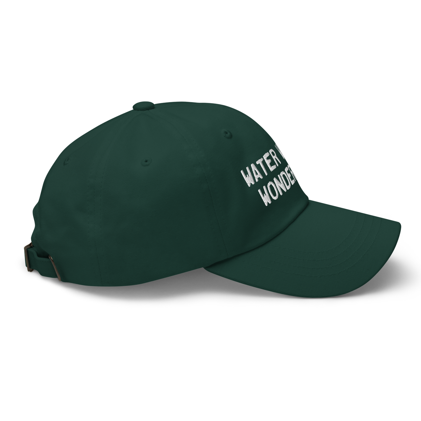 Michigan 'Water Winter Wonderland' Dad Hat (Licence Plate Font)