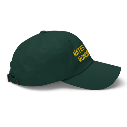 Michigan 'Water Winter Wonderland' Dad Hat (Licence Plate Font) | Gold Embroidery