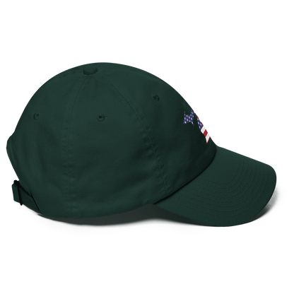 State of Michigan Dad Hat (w/ USA Flag Outline)