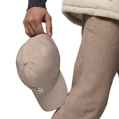 State of Michigan Dad Hat (w/ USA Flag Outline)