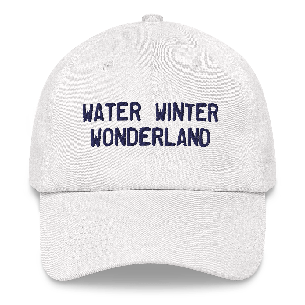 Michigan 'Water Winter Wonderland' Dad Hat (Licence Plate Font)