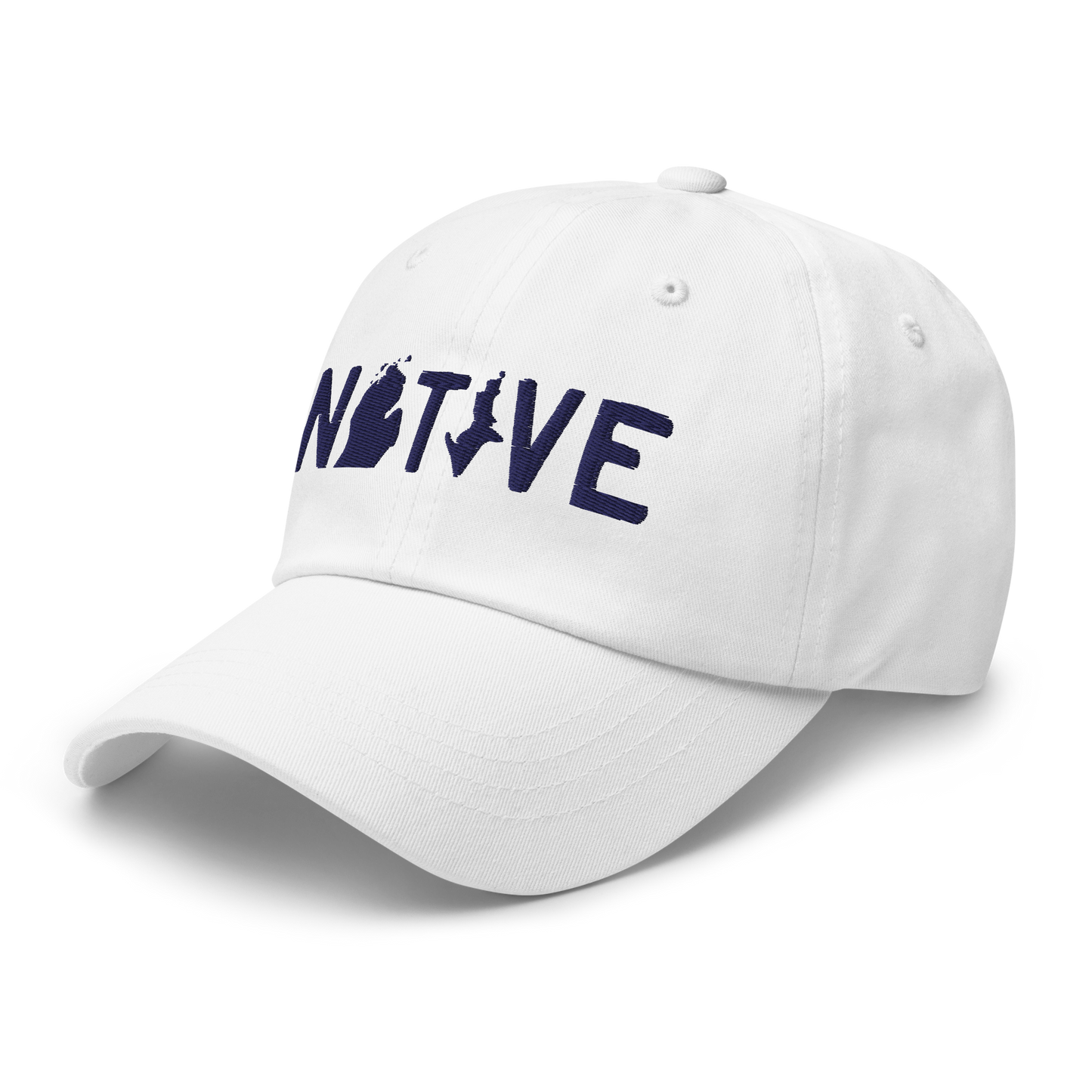 Michigan 'Native' Dad Hat (Licence Plate Font)