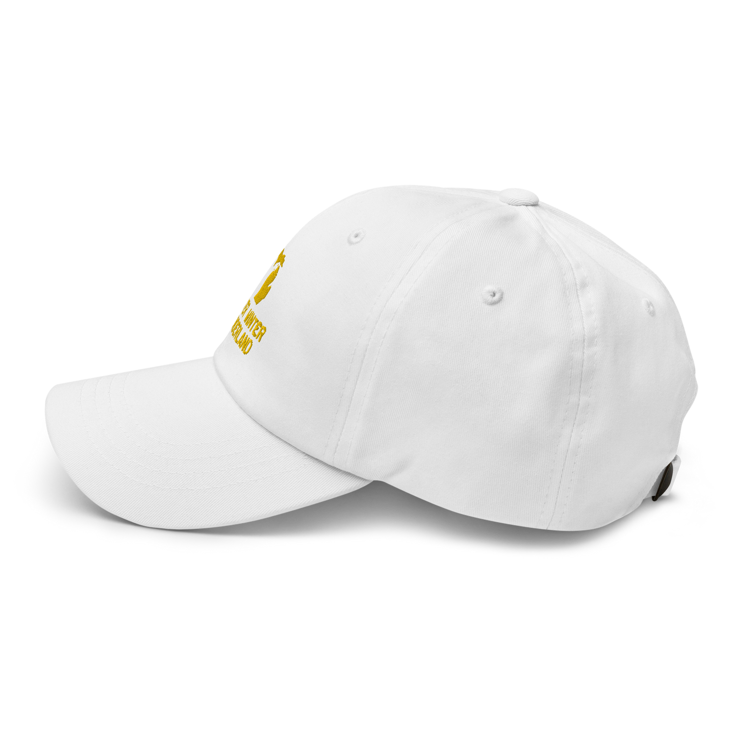 'Water Winter Wonderland' Dad Hat (w/ Michigan Outline) | Gold Embroidery