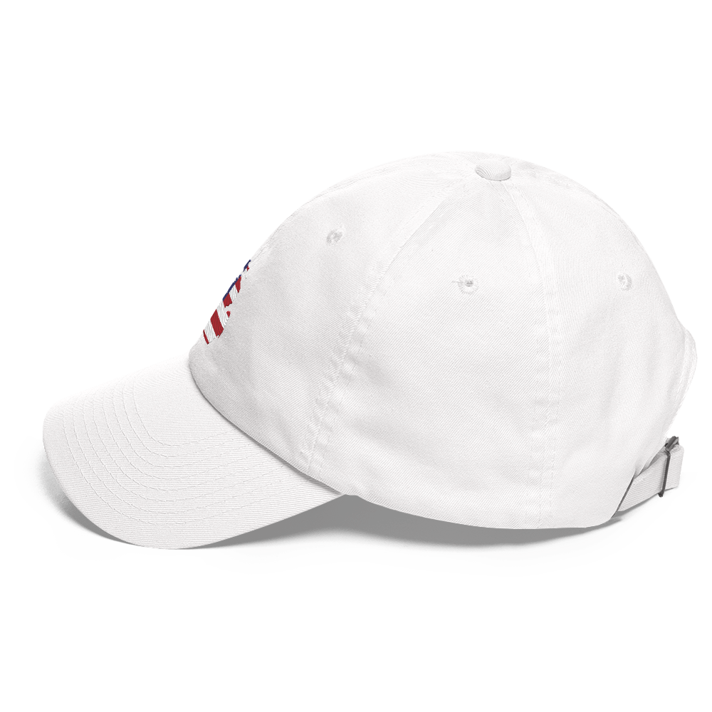 State of Michigan Dad Hat (w/ USA Flag Outline)