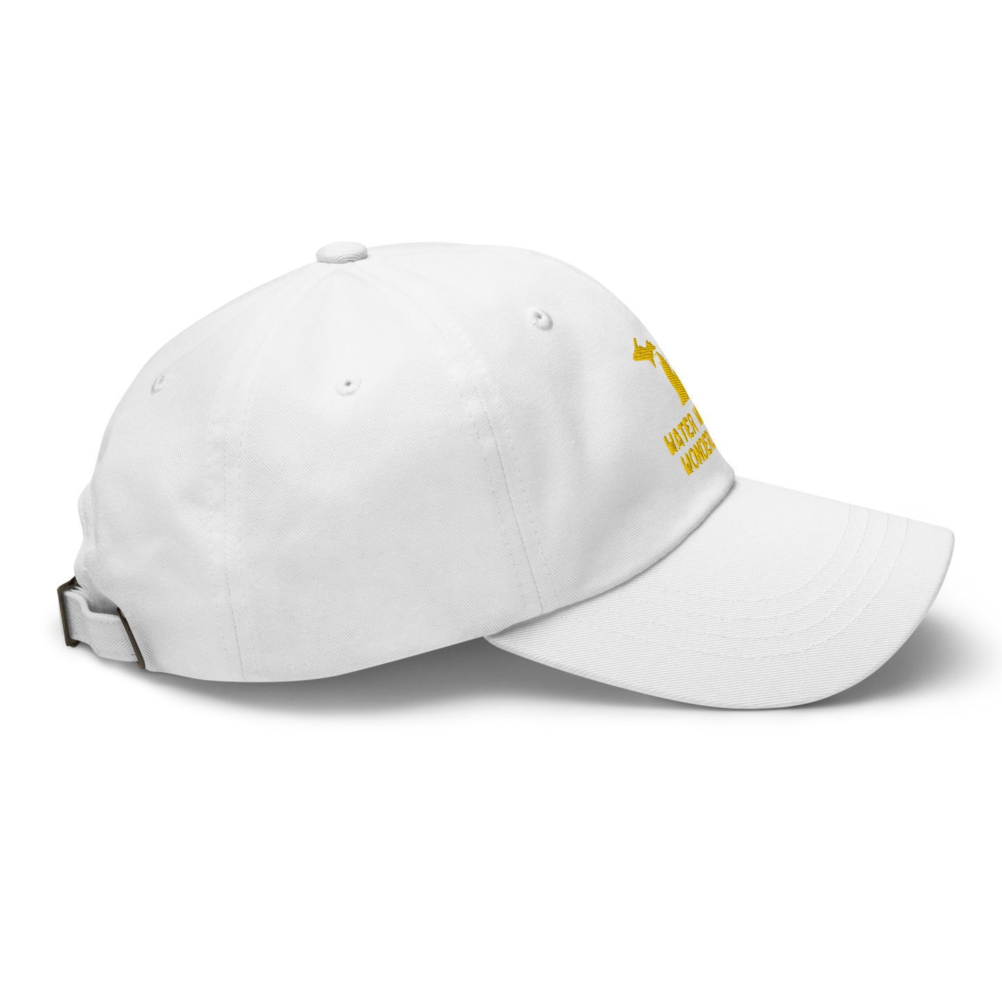 'Water Winter Wonderland' Dad Hat (w/ Michigan Outline) | Gold Embroidery