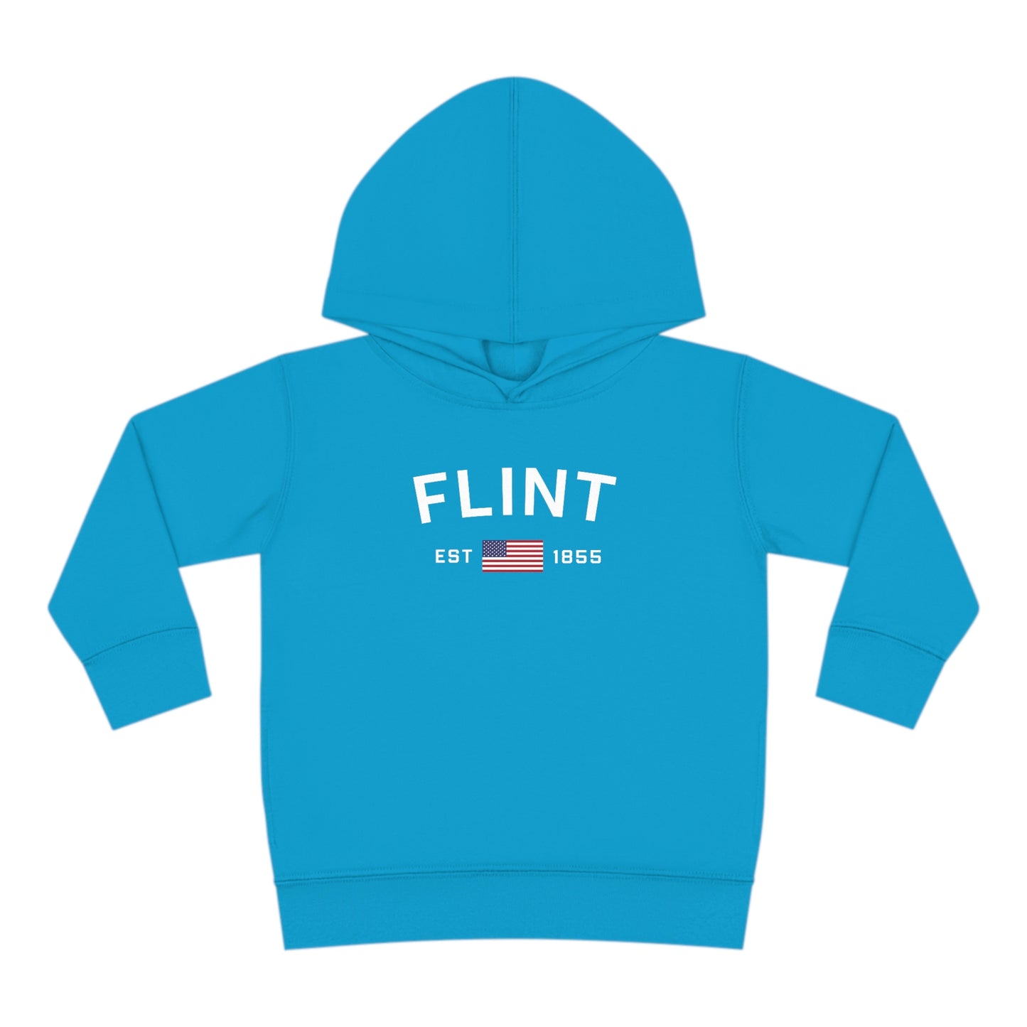 'Flint EST 1855' Hoodie (Whimsical Sans Font) | Unisex Toddler