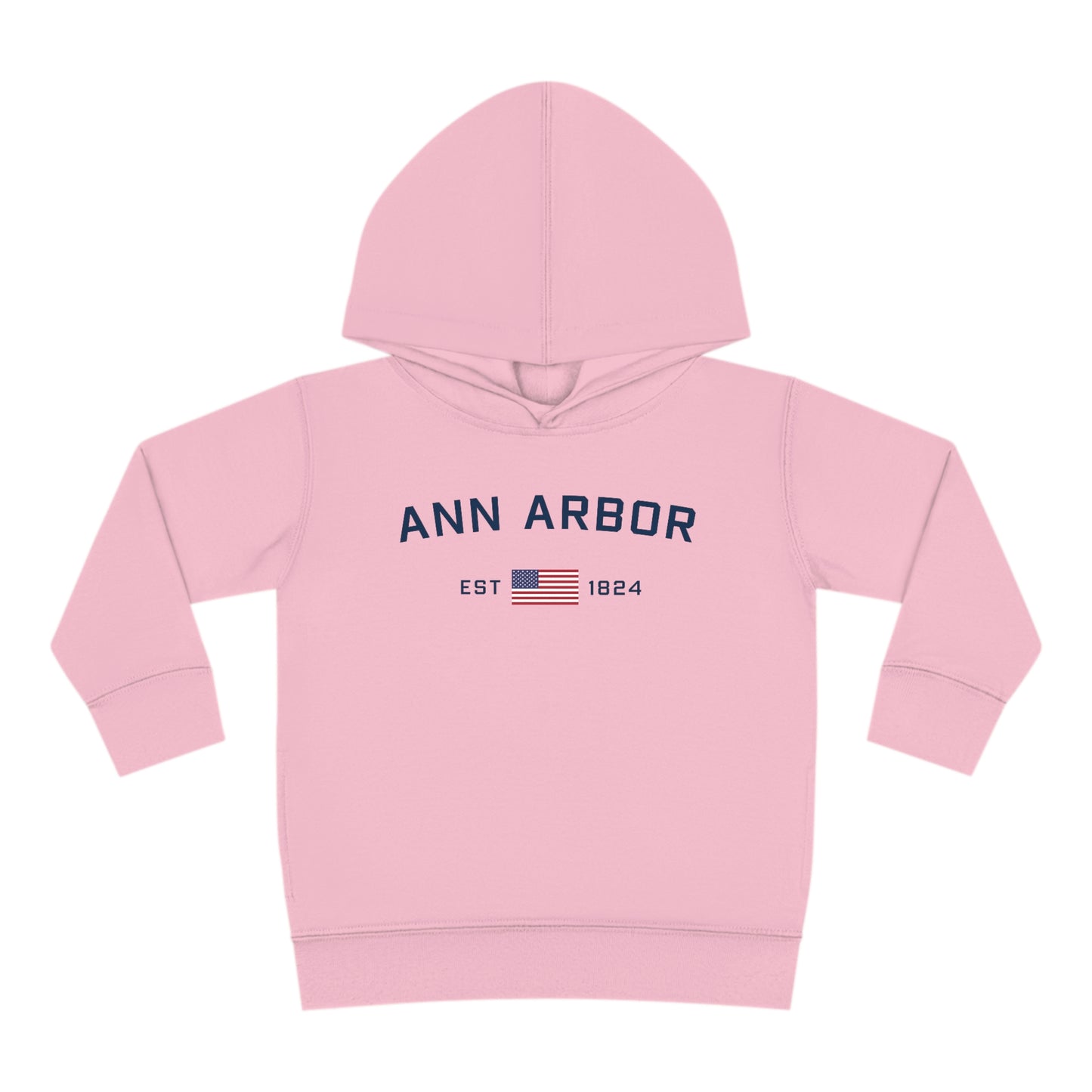 'Ann Arbor EST 1824' Hoodie (w/USA Flag Outline) | Unisex Toddler