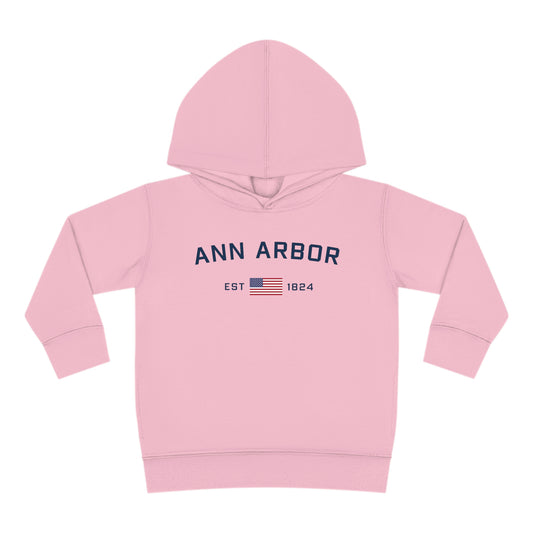 'Ann Arbor EST 1824' Hoodie (w/USA Flag Outline) | Unisex Toddler