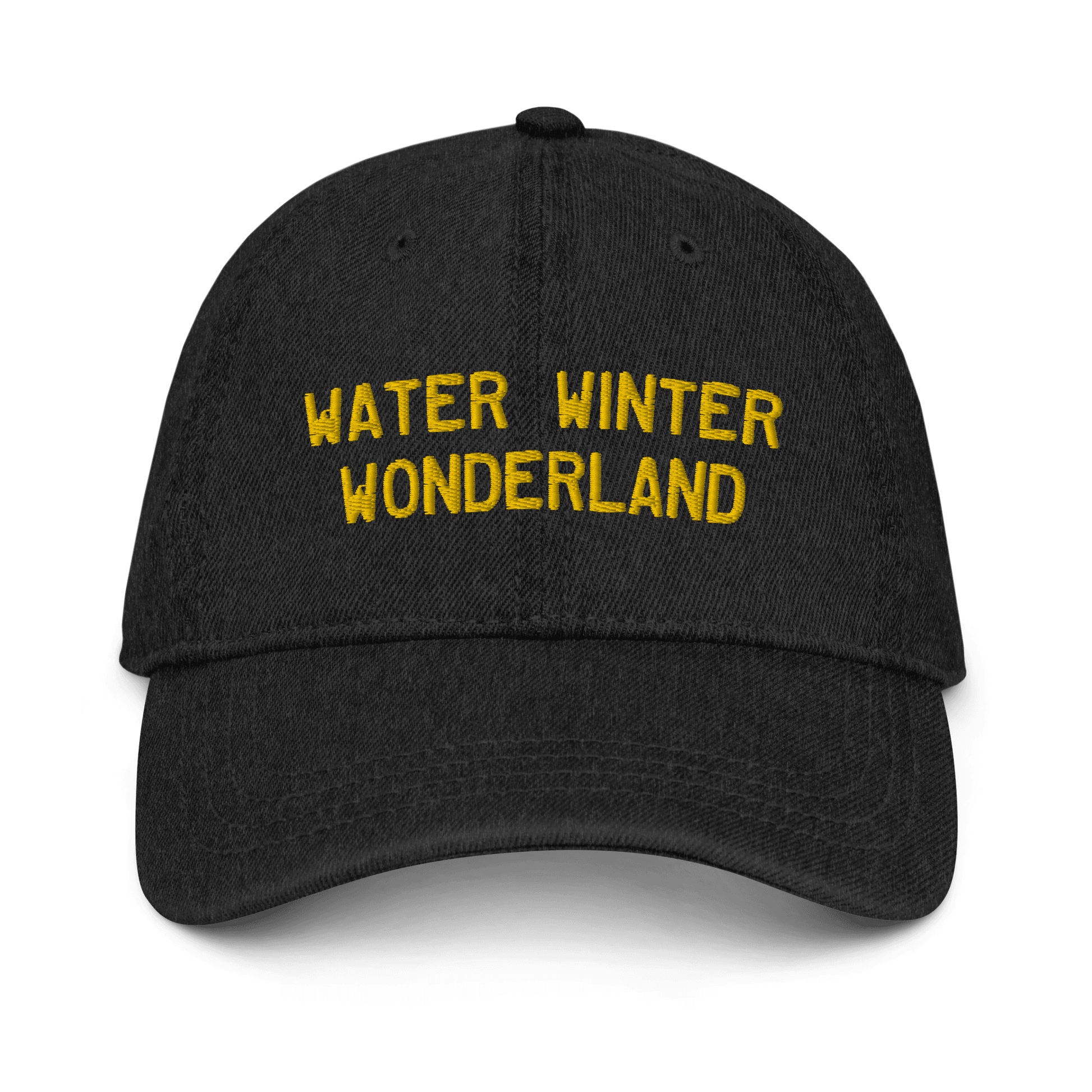 'Water Winter Wonderland' Denim Baseball Cap - Circumspice Michigan