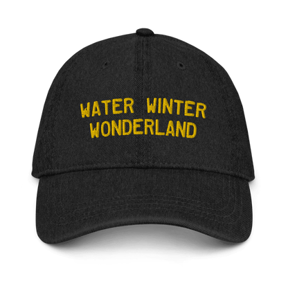 'Water Winter Wonderland' Denim Baseball Cap - Circumspice Michigan