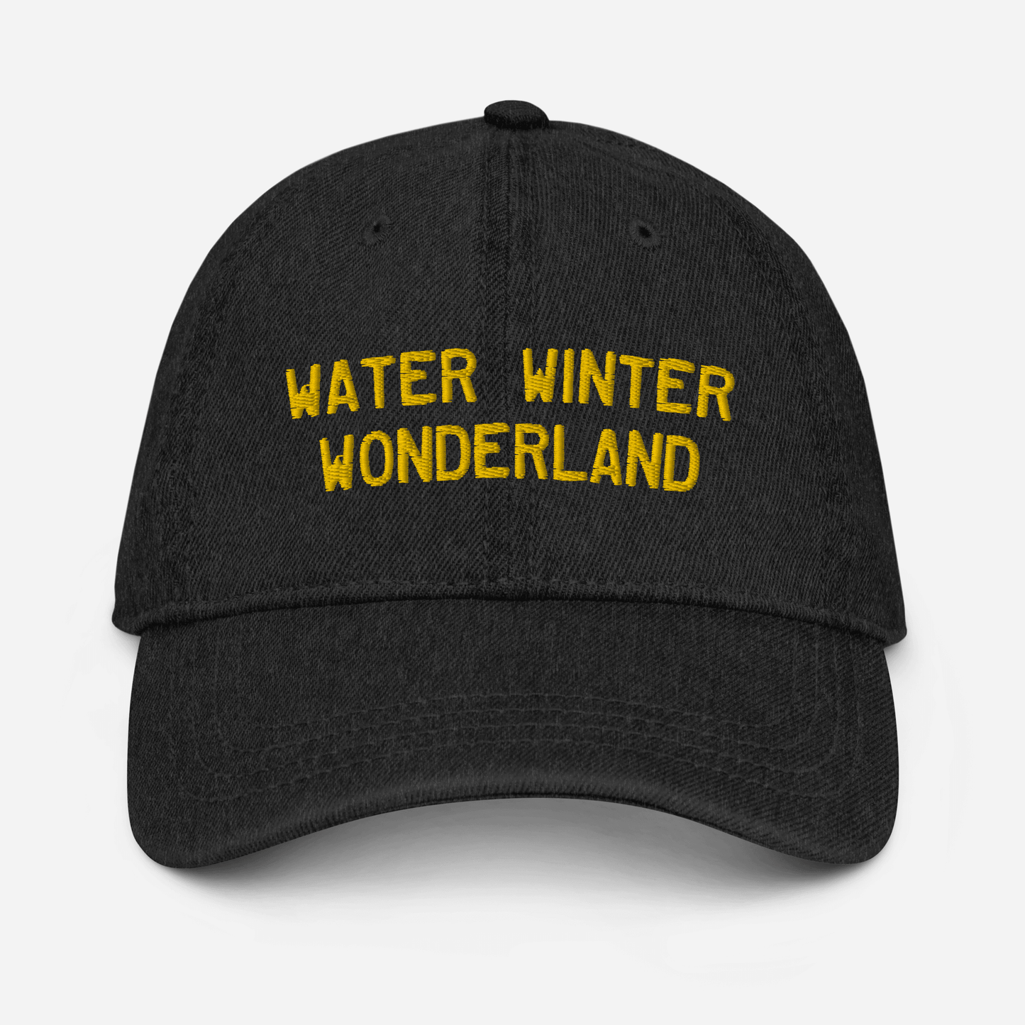 'Water Winter Wonderland' Denim Baseball Cap - Circumspice Michigan