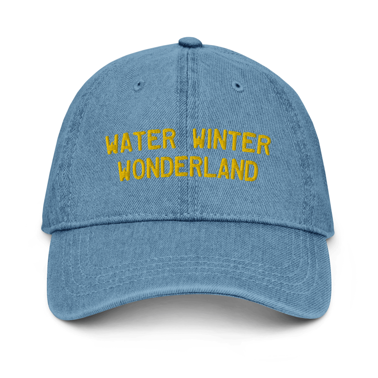 'Water Winter Wonderland' Denim Baseball Cap - Circumspice Michigan