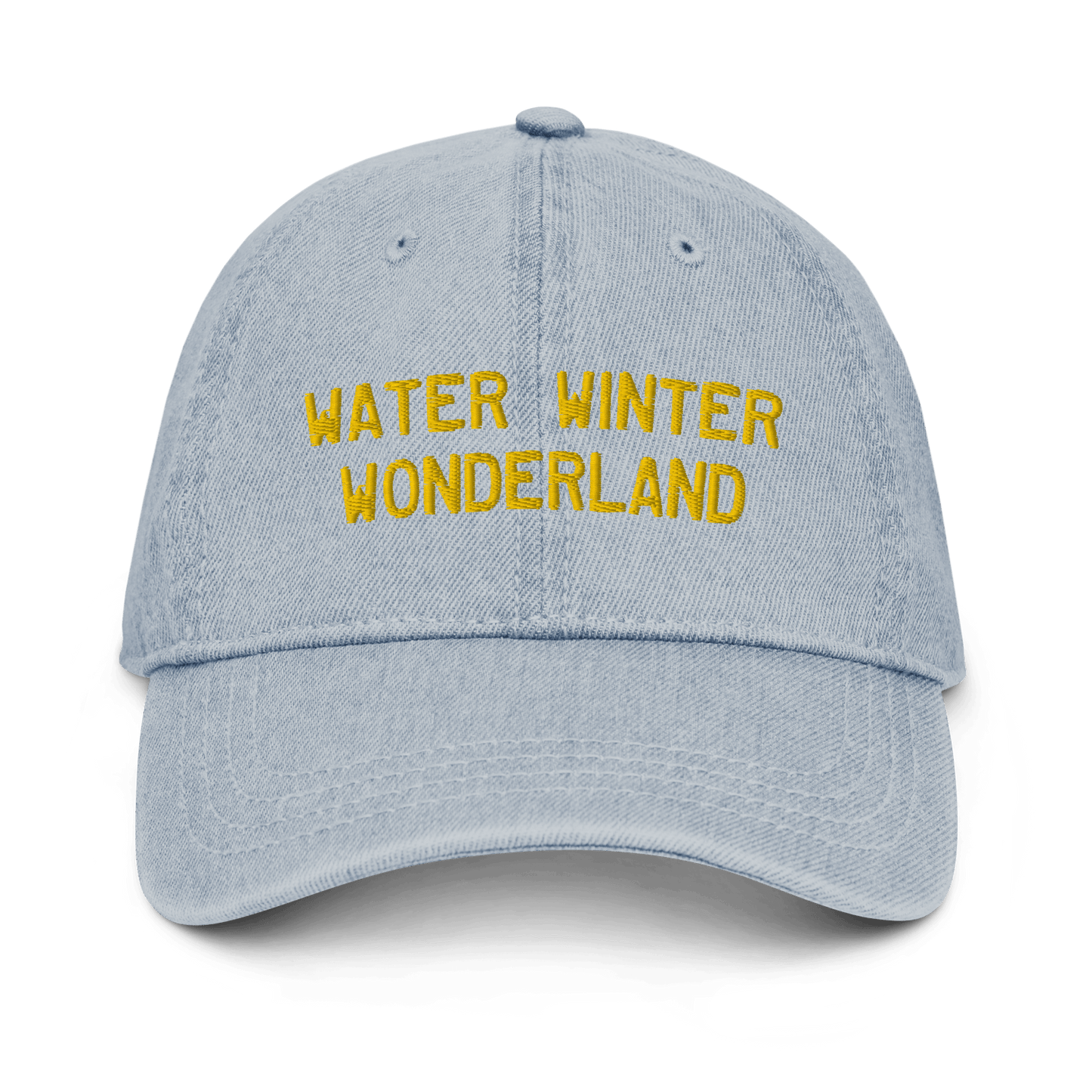 'Water Winter Wonderland' Denim Baseball Cap - Circumspice Michigan