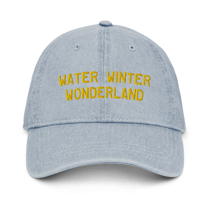 'Water Winter Wonderland' Denim Baseball Cap - Circumspice Michigan