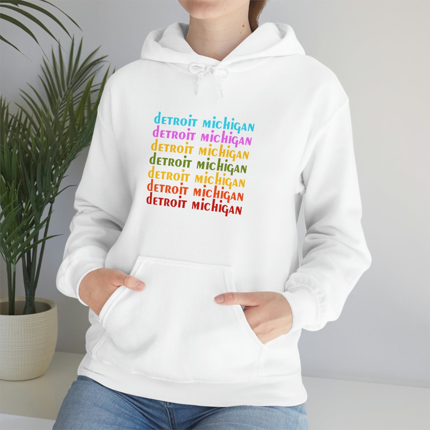 'Detroit Michigan' Hoodie (1970s Sitcom Parody) | Unisex Standard