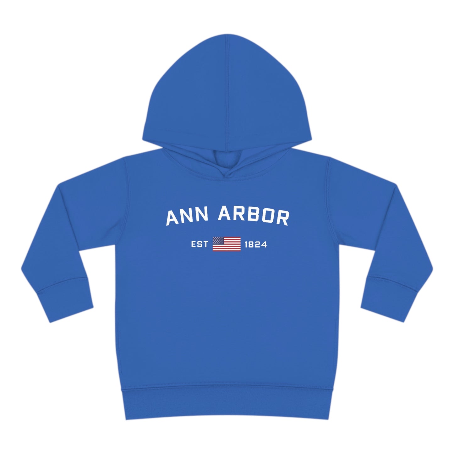 'Ann Arbor EST 1824' Hoodie (w/USA Flag Outline) | Unisex Toddler